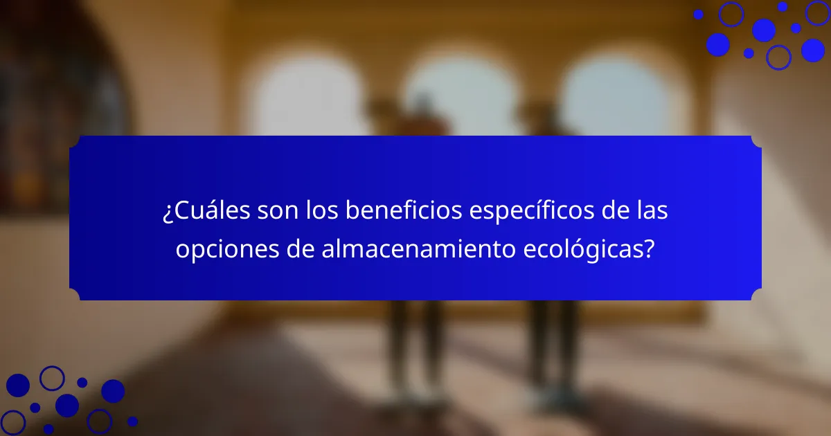 ¿Cuáles son los beneficios específicos de las opciones de almacenamiento ecológicas?