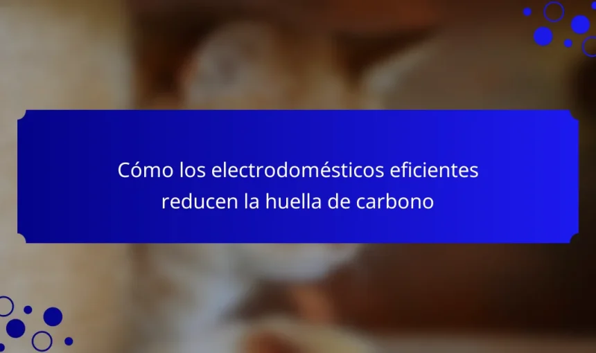 Cómo los electrodomésticos eficientes reducen la huella de carbono