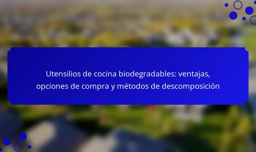 Utensilios de cocina biodegradables: ventajas, opciones de compra y métodos de descomposición