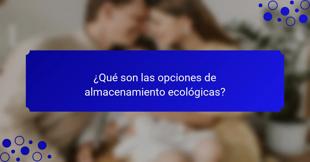 ¿Qué son las opciones de almacenamiento ecológicas?
